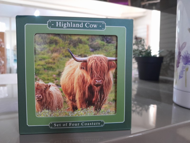 Highland cow coasters